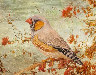 Zebra Finch on Branch