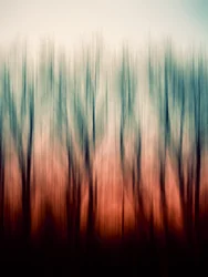 Abstract Forest Blur