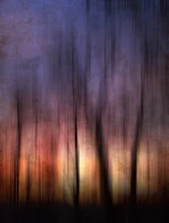 Abstract Forest Sunset