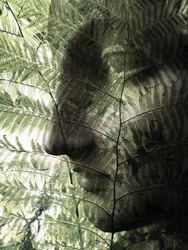 Botanical Face Profile