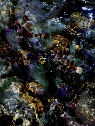 Deep Water Reflections