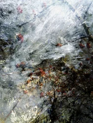 Frozen Winter Berries