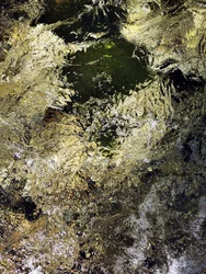 Golden Water Shimmer