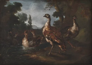 Landscape with Birds