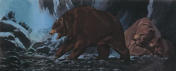 Bears and Primitive Man