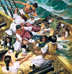 Shipwreck!: A Royal Shipwreck