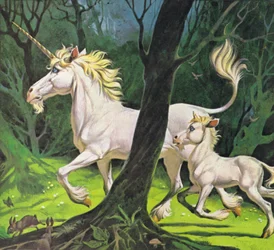Unicorns
