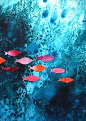 Colorful Ocean Fish