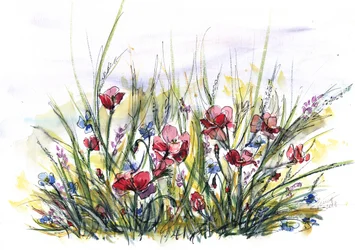 Vibrant Poppy Meadow