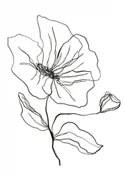 Delicate Flower Sketch