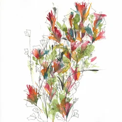 Vibrant Watercolor Blooms