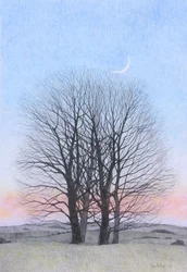 New Moon, 2011