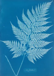 New Zealand