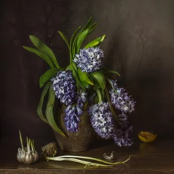Rustic Hyacinths and Garlic