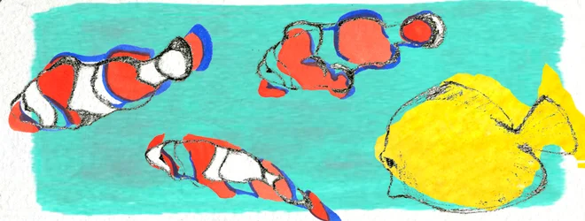 Fish