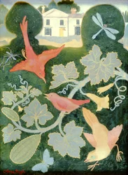 Ants House Sprangwell