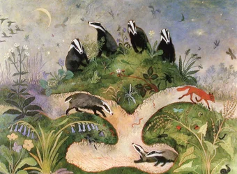 Night Sky, 2001