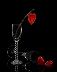 Glass and Physalis Still Life
