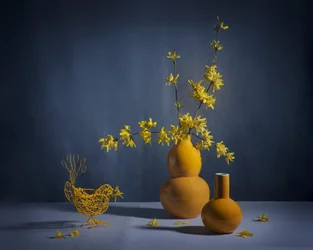 Golden Forsythia Still Life