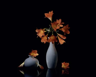 Vivid Orange Still Life