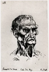 Drawing after Leonardo de Vinci