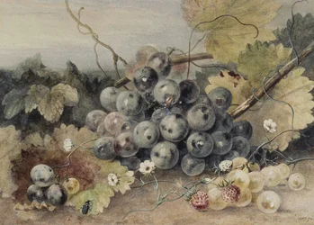 Grapes and Strawberries