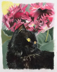 Black Tulips