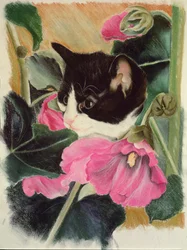 Kitten and Hollyhocks