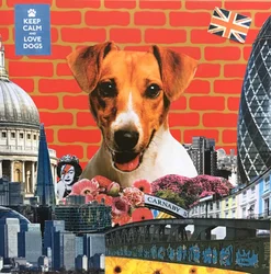 Jack Russel