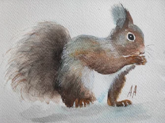 Charming Red Squirrel