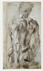 Study of a Male Figure