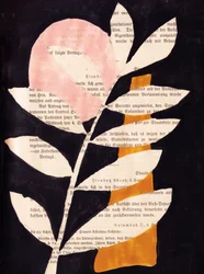 Abstract Leaves with Black Background