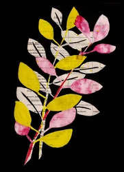 Pink Yellow Botanical Collage