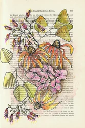 Vintage Botanical Study