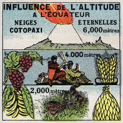 Meteorology: influence of altitude on climate. Anonymous illustration from 1925. Private collection.