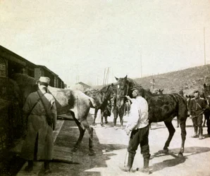 Photograph from a Personal Album of an Infantry Lieutenant During the First Months of the First World War