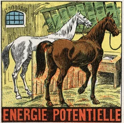 Potential energy: horses resting in a stable. Anonymous illustration from 1925. Private collection.