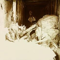 Stereoscopic Glass Plate on the First World War