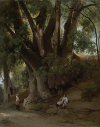 Italian Tree Landscape (Road near Albano)