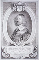 Adriaen Klant van Stedum from 