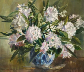 Rhododendrons, pale white and pink