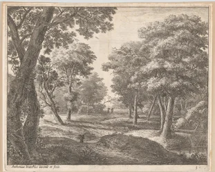A Path Through the Woods