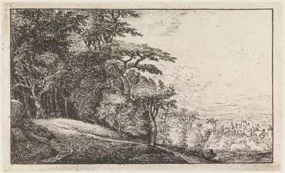 The Entrance to a Forest