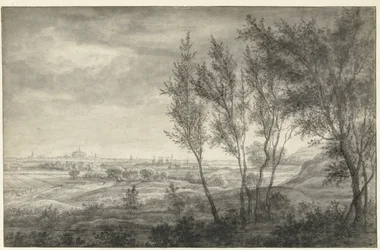 View from the Dunes of Haarlem