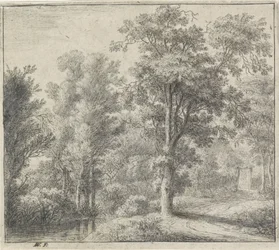 Entrance to the Forest