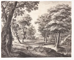 Forest Road
