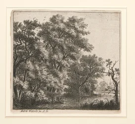 The Wooded Island