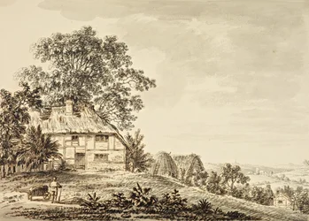 Country Scene
