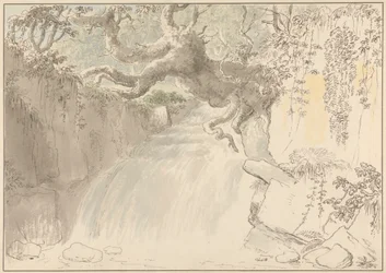 Waterfall and Tree Trunk