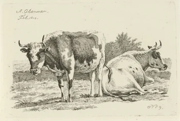 Standing and Lying Cow (Studies of Cows, Sheep, and Goats)